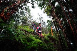 BIB: 
                            <button type="button" onclick="openModal(26203460)" class="btn btn-primary btn-sm float-right btn-popup" data-toggle="modal" data-target=".modal-high-quality">
                        <i class="fas fa-shopping-cart"></i> Add to Cart
                    </button>
                                            <button type="button" onclick="isThisMe(26203460, true)" class="btn btn-success btn-sm float-right btn-popup btn-isme hidden" data-toggle="tooltip" data-placement="bottom" title="นี่คือรูปของคุณใช่ไหม คลิกที่นี่เพื่อเอาเข้าอัลบั้ม">
                        <i class="fas fa-plus"></i> Add to album
                    </button>
                    <button type="button" onclick="isThisMe(26203460, false)" class="btn btn-warning btn-sm float-right btn-popup btn-isnotme hidden">
                        <i class="fas fa-ban"></i> Remove from album
                    </button>